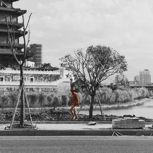 车震小说男男父子乱伦
